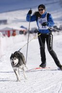 Lenk 2013